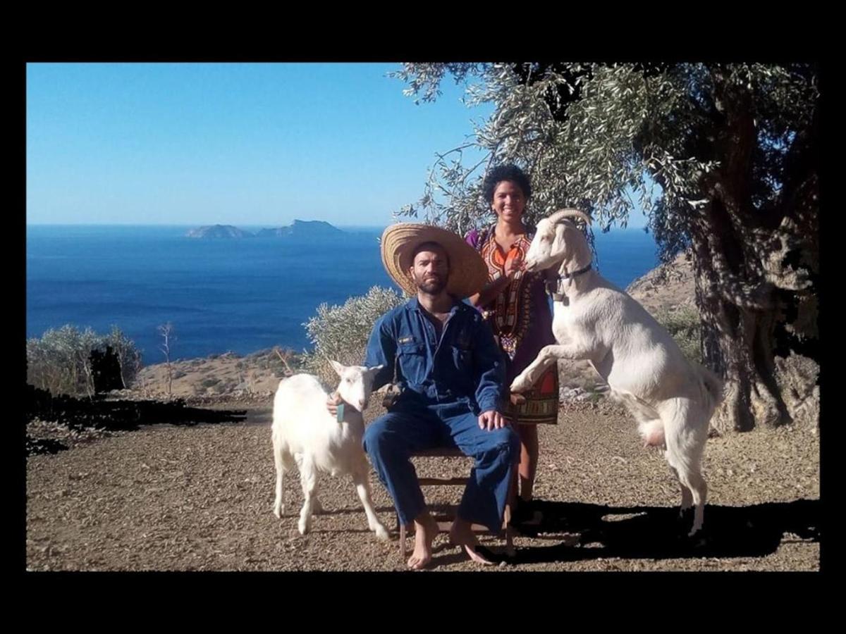 Sea Breeze Ecological Villa Agia Galini Dış mekan fotoğraf