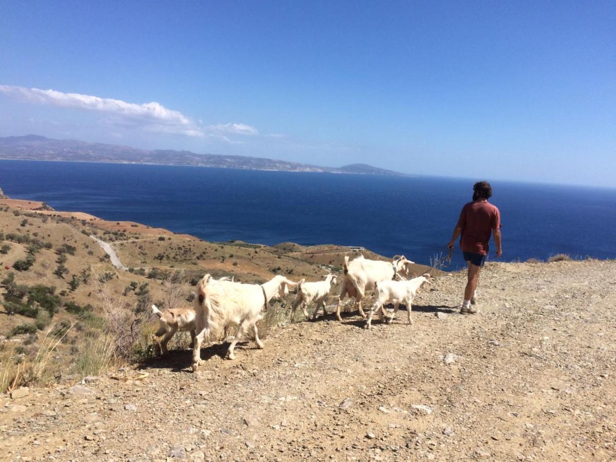 Sea Breeze Ecological Villa Agia Galini Dış mekan fotoğraf