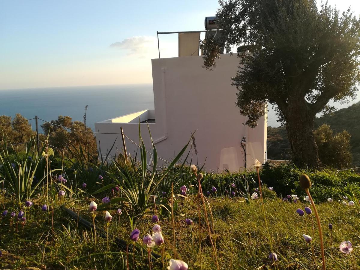 Sea Breeze Ecological Villa Agia Galini Dış mekan fotoğraf